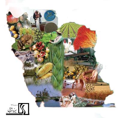 جايگاه بخش کشاورزي در اقتصاد ايران